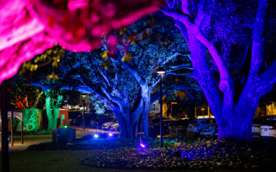Lighting the Park After Dark | Axford Park, Leederville